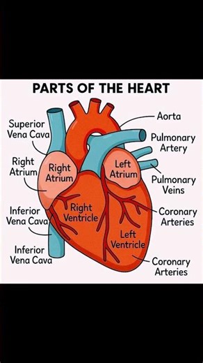 #aimms#motivation#nursingexam#education