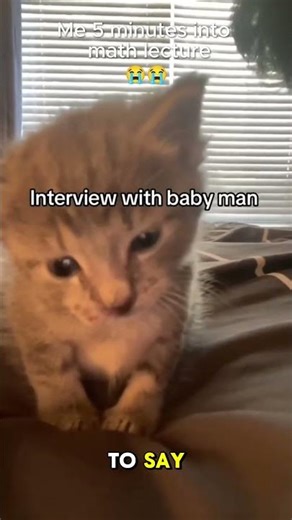 CUTE Kitten Falls Asleep #funny #cute