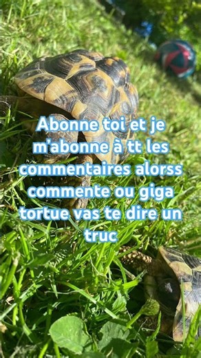 Se son’me fais devenirs connu en 3 heures 🥳🥳🥳