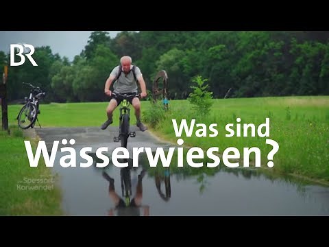 Wässerwiesen in Franken: Einmaliges Bewässerungssystem | Zwischen Spessart und Karwendel | BR
