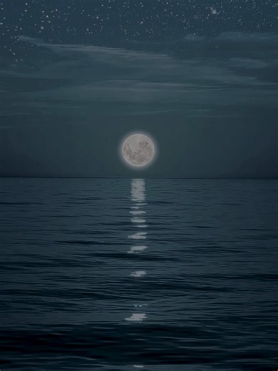 in Silence learn how to find peace. Link in Bio. #love #dating #relationships #women #datingadvice