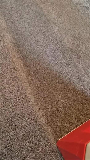 24-hr rentals for $39.99. | Rug Doctor