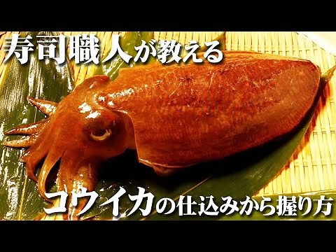 【コウイカ 寿司の仕込み】身が柔らかくてもっちりとした生きたコウイカを寿司職人が握る How to make sepia esculenta sushi