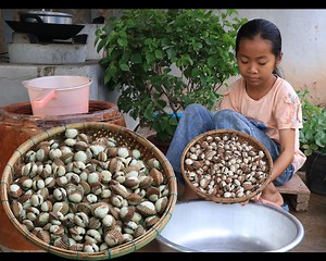 Little girl in countryside cook blood cockle | FOOD & COOK