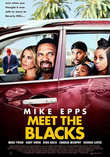 Meet the Blacks - movie: watch stream online