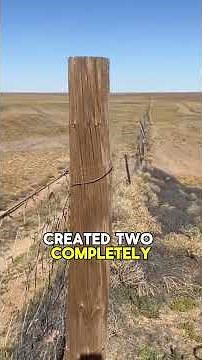Australia's Fence That Splits a Continent