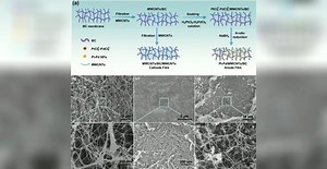 50. A Hybrid Biofuel and Triboelectric Nanogenerator for Bioenergy Harvesting. https://link.springer.com/article/10.1007/s40820-020-0376-8 | Nano-Micro Letters
