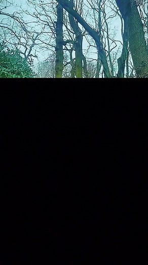 dr.cherry2 (@dr.cherry22)’s videos with TREND MARTÍN X CHANTY - Chantall Pizzino