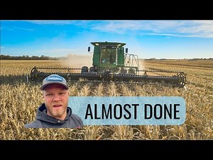 THE LAST FIELD OF HARVEST (Sorghum 2022)