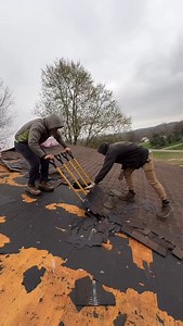 Roofing crew tearing off 2 layers of shingles and installing Owens Corning’s 2019 Shingle Color Of The Year - Black Sable. - - #PineRidgeRoofing #RoofReplacement #WeFixRoofs #OwensCorningShingles #RoofersRoofing #OhioRoofers #RoofReplacement #2LayerShingles #YouDeserveTheBest #BolivarOhio #LocalRoofingCompany | Pine Ridge Roofing LLC