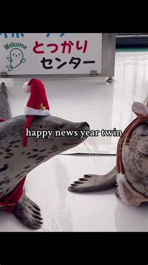 Understanding Seals: Their Biology and Behavior