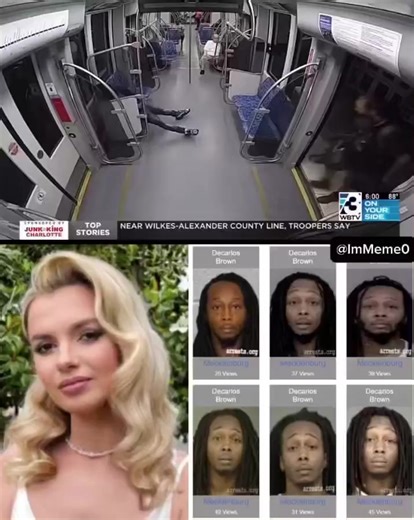 Released by Judge Teresa Stokes: How the System Failed Iryna Zarutska. Killed by Decarlos Brown. #charlotte #NorthCarolina #decarlosbrown #stabbing | Bunker Patrol
