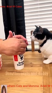 Women Open the gate.._R_009 #3southern #kristicates #fblifestyle | 3 Southern Cats And Momma