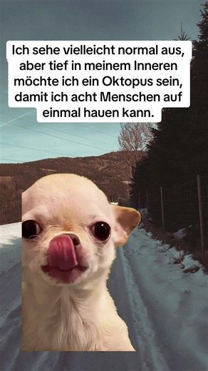 Humorous Meme: I Want to Be an Octopus