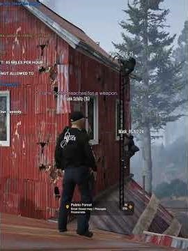 [GTA:WORLD] Partner, Aim for the bushes?