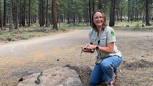 13K views · 122 reactions | It's World Snake Day!  Which is a...