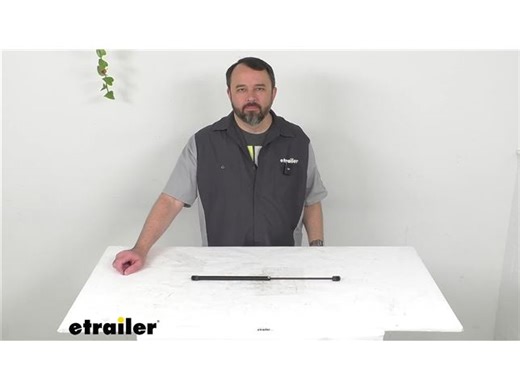 Review of RV Designer Gas Struts - Gas Strut 20 Inch 20 LBS - RD22RR