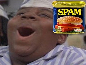 SPAM