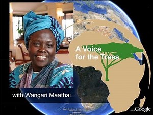 A Voice for Trees, by Wangari Maathai
