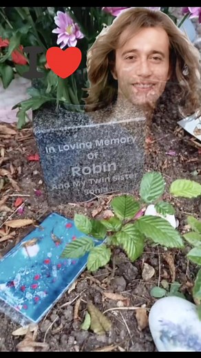 312K views · 13K reactions | I Love Robin ❤️ #robingibb #beegees | Best Oldies Music Hits | Facebook