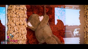 Fine tulip best way to say that you care 07504409922 | Fine Tulip