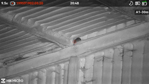 165K views · 1.5K reactions | Pest Control Redefined When the work...