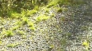 Compilation of swedish spanking - RedPorn.Tv