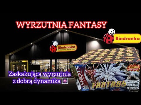 🎆WYRZUTNIA FANTASY BIEDRONKA 2025🎇