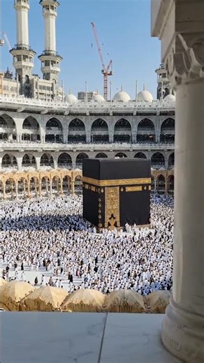 #naat #naatstatus #naatshareef #new naat#trinding #shorts #shortvideo