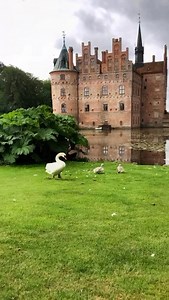 Egeskov Castle, located on the Danish island of Funen, is one of Europe’s best-preserved Renaissance water castles and a true fairytale destination. Built in 1554 by Frands Brockenhuus, it was ingeniously constructed on a foundation of oak piles driven deep into a lake, giving rise to its name “Egeskov,” which means oak forest. Surrounded entirely by a wide moat, the castle was designed not only as a noble residence but also as a stronghold during times of unrest in Denmark’s history. The castle