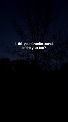 Frog sounds of spring #spring #homesteadlife #frogs