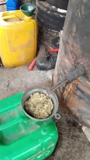 What Are They Cooking In The Forest? palm wine processing