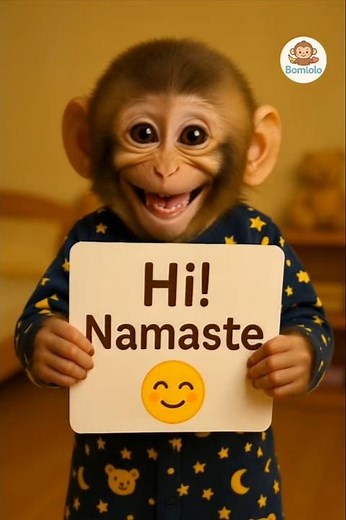 funny monkey say hi namaste ☺️