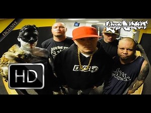 Limp Bizkit - Making of Gold Cobra (2010 / 2011)