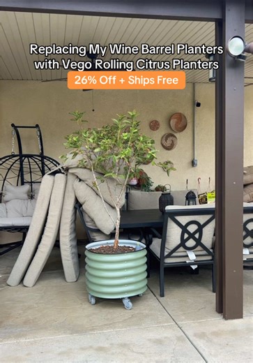 Vego Rolling Citrus Planters: Upgrade Your Garden