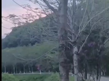 tk达人建联首选软件，一键建联，一键沟通便宜 现有免费版试用TikTok达人邀约软件3天，TK邀约达人 还有其他不同版本要的宝子后台私信我