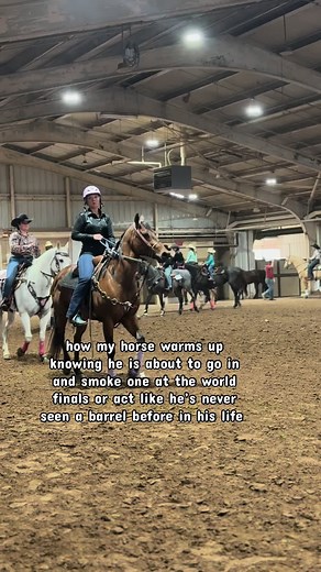the accuracy of how a Dash Ta Fame’s brain works🤪 #horses #share #horsesoftiktok #fyp #okc @The Ranch Equestrian Apparel @BRUNT Workwear @55 Oranges Boutique @Rocket Donkey Clothing @Fancy Broke Apparel @Boss Buckets @Better Barrel Races @BioStride