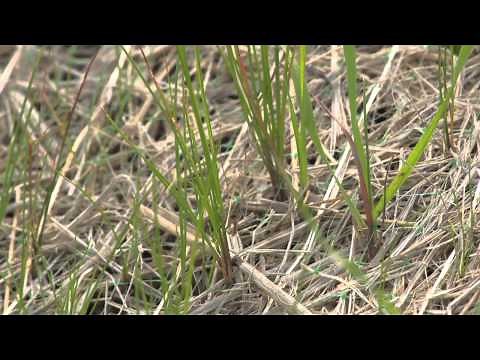 Stormwater Strategies: Erosion & Sediment Control