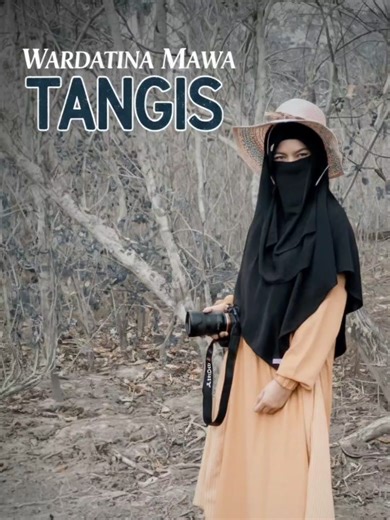 Lagu Hits Terbaru WARDATINA MAWA - TANGIS