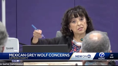 Meeting held on Management of Mexican Grey Wolves in New Mexico