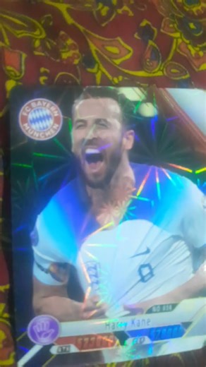 19 ноября 2025 г.