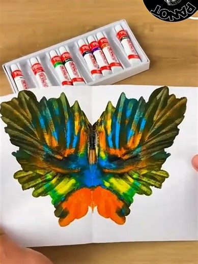 Easy Step-by-Step Butterfly Drawing Tutorial