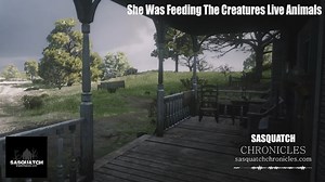 457K views · 6.6K reactions | SC Shorts: She Was Feeding The...