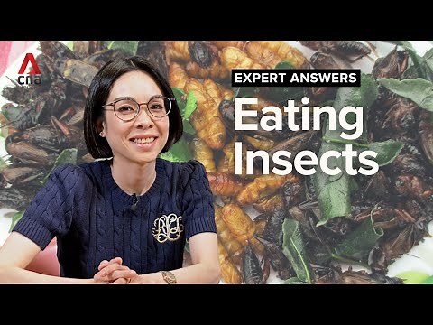 Everything you need to know about eating insects | Expert Answers | CNA Explains