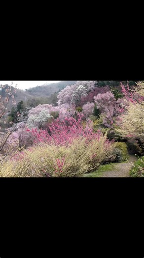 Create Your Spring Vision Board for Renewal