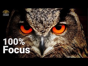 100% FOCUS and CONCENTRATION when working and learning ♫ Alpha waves learning music