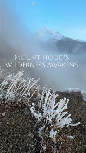 Mount Hood Majestic Beauty | Snow-Crowned Peaks, Misty Cascades & PNW Winter Wilderness Adventure