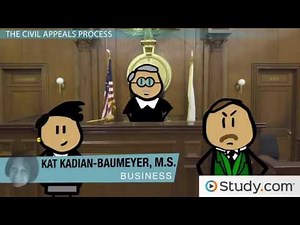 Civil Appeals Process: Parties, Briefs & Oral Arguments