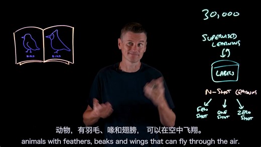 AI的自学能力大揭秘！什么是Zero-Shot Learning？