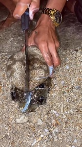 Good job🥒🥒 #Amazing #fblifestyle | Jocil tv